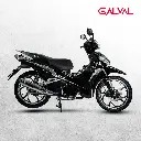 GV135 NEGRA.webp